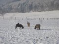 Winter1011 (60)